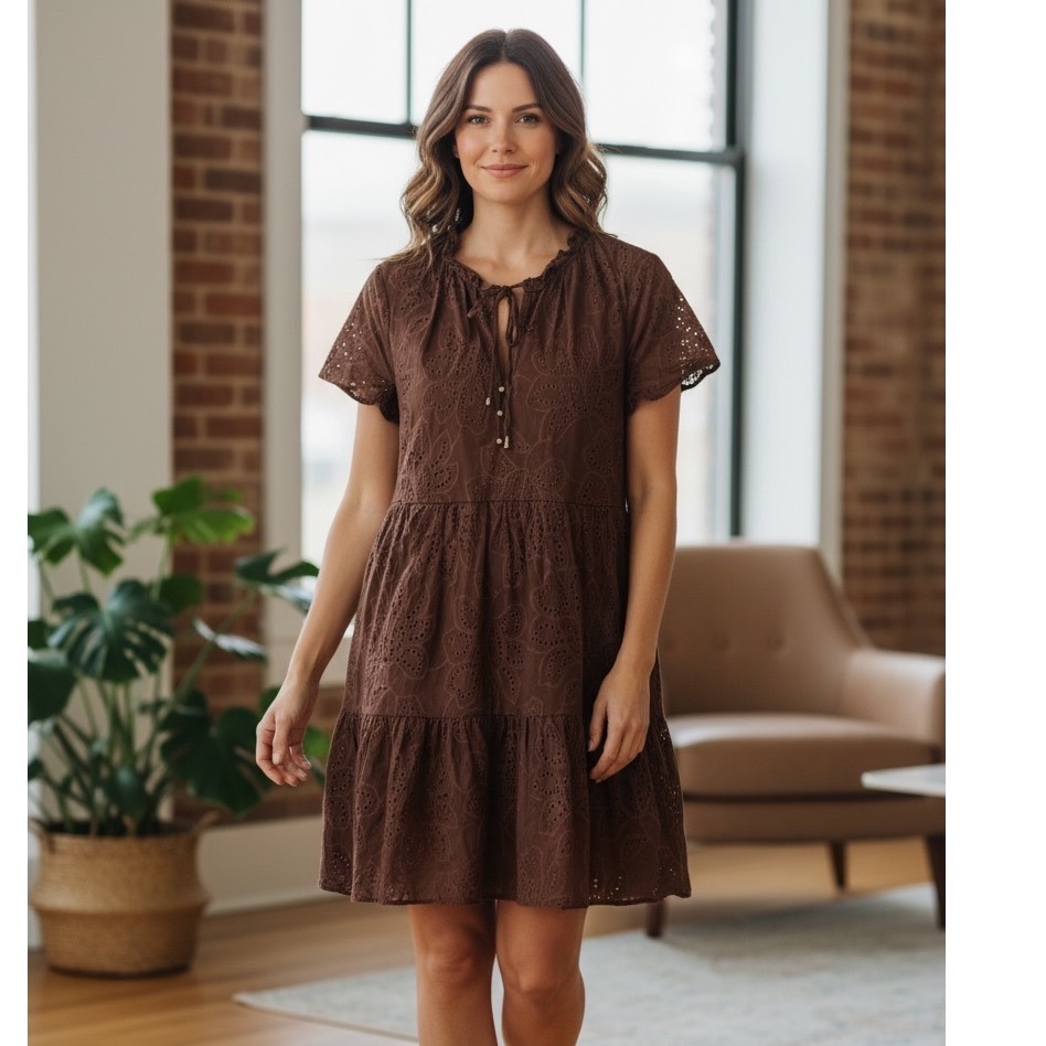 Joie Eyelet Mini Dress Brown Tiered Cotton Babydoll Short Sleeve Romantic Chic